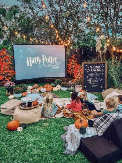 Посмотреть "Гарри Поттер" во дворе через проектор