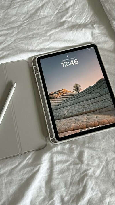 iPad 256gb + Apple Pencil
