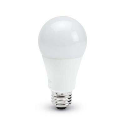 GOODDAY® | ENERGY-ENHANCING A19 LED BULB