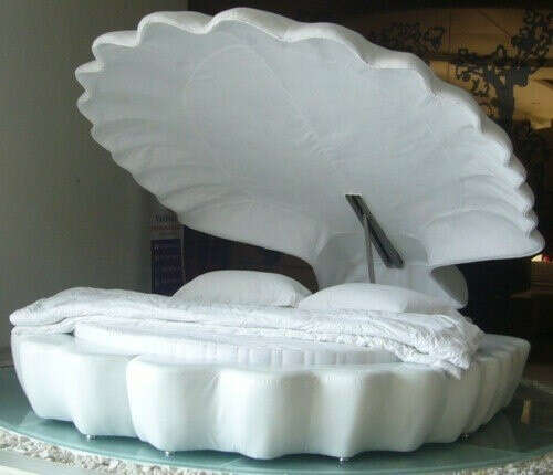 Seashell bed