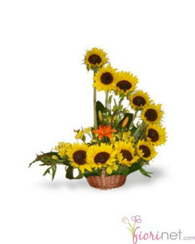 Sunflowers in Spiral