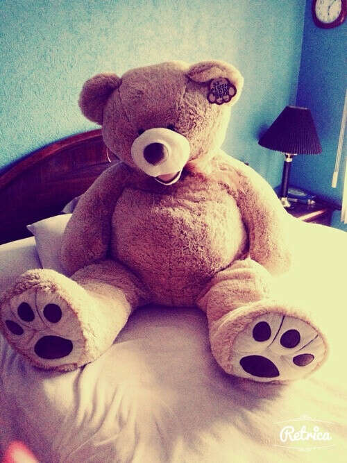 BIG TEDDY BEAR