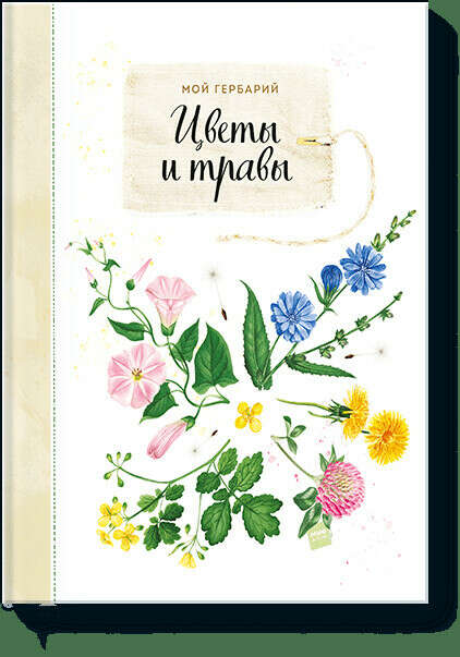 Мой гербарий. Цветы и травы (Анна Васильева, Светлана Винникова) — купить в МИФе