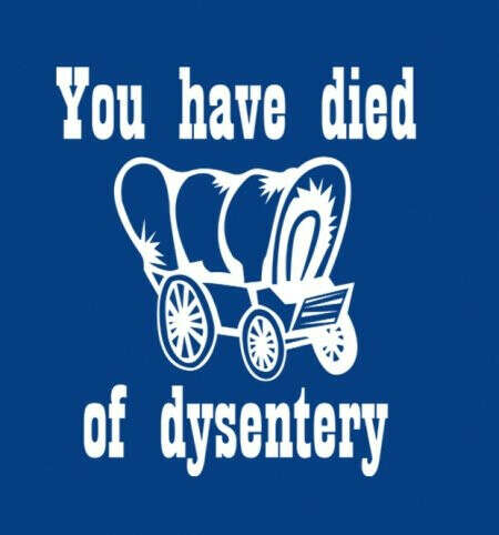 You Have Died of Dysentery t-shirt