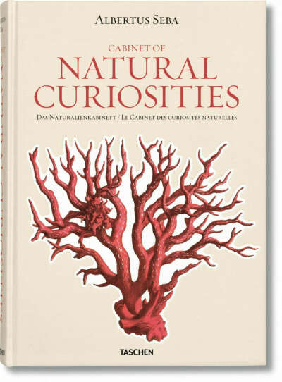 Seba: Cabinet of Natural Curiosities: Albertus Seba, Rainer Willmann, Jes Rust, Volker Wissemann: 9783836515832: Amazon.com: Books