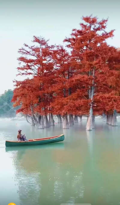 увидеть озеро сукко это просто мечта вы посмотрите как красиво