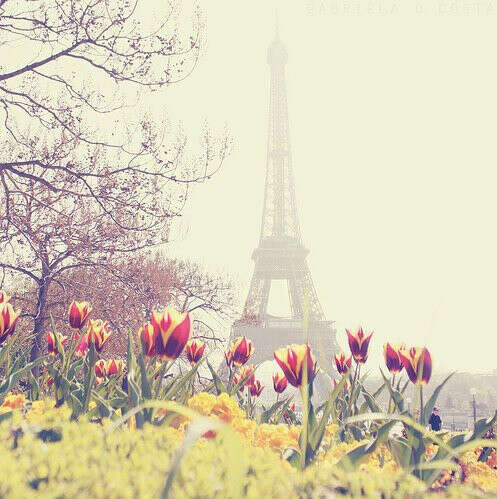 Хочу в Париж :)
