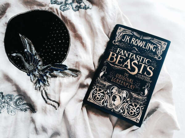 fantastic beasts and where to find them the original screenplay
