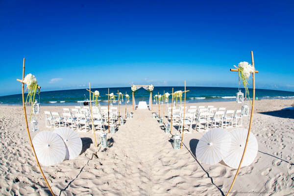 Beach Side Wedding