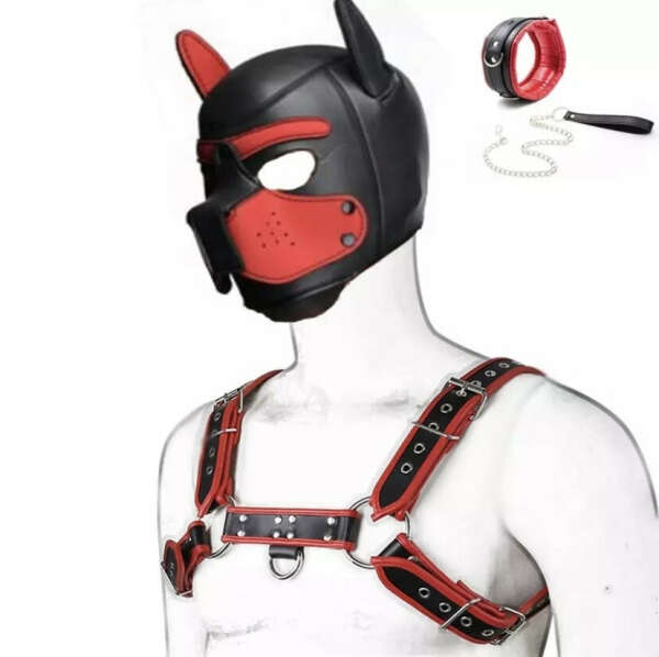 €6.46 25% de réduction|SexShop, jeu de chiots, masque, capuchon de chien, collier, Bdsm, harnais de poitrine, sangle, queue de chien, jeux sexuels pour Couples, godemichet anal | AliExpress