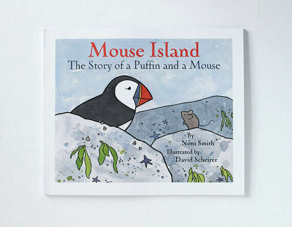 Childrens Book Paperback - Mouse Island - Illustrated Puffin and Mouse Story