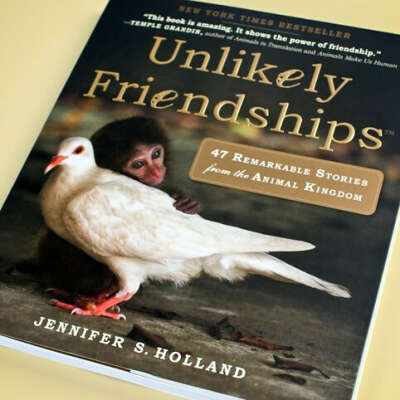 47 историй дружбы животных Unlikely Friendships