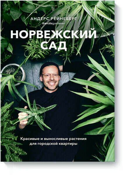 Книга «Норвежский сад»