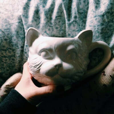 Plum & Bow Cat Face Mug