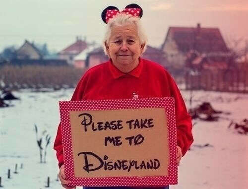 попасть в Disneyland