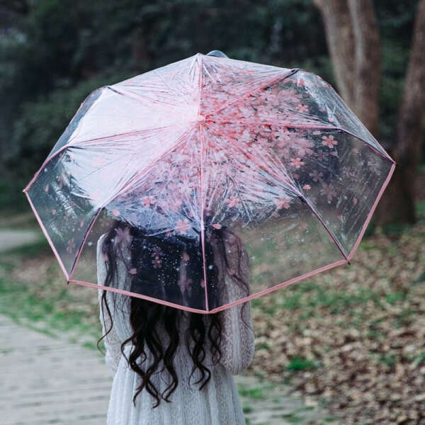 прозрачный складной зонт