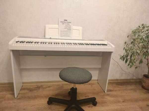 цифровое пианино Korg 170S, цена 1 400 р. купить в Минске на Куфаре - Объявление №150872366