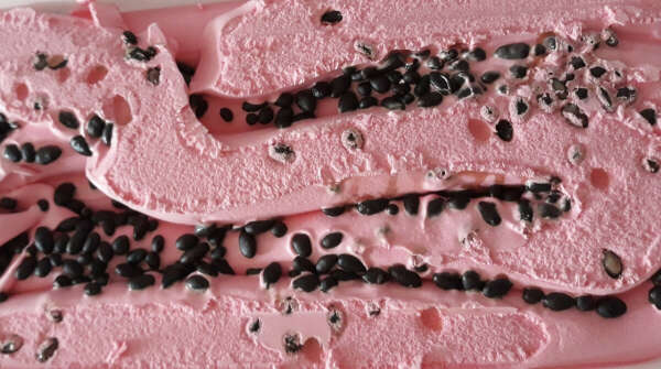 Арбузное мороженое от ООО "Нева-Холод"