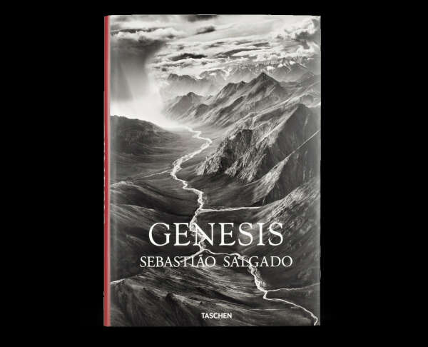 Книга Genesis