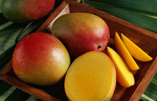 Mango