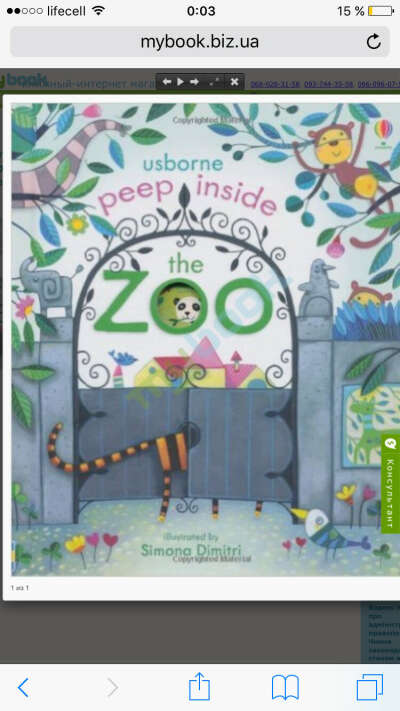 Peep Inside the Zoo