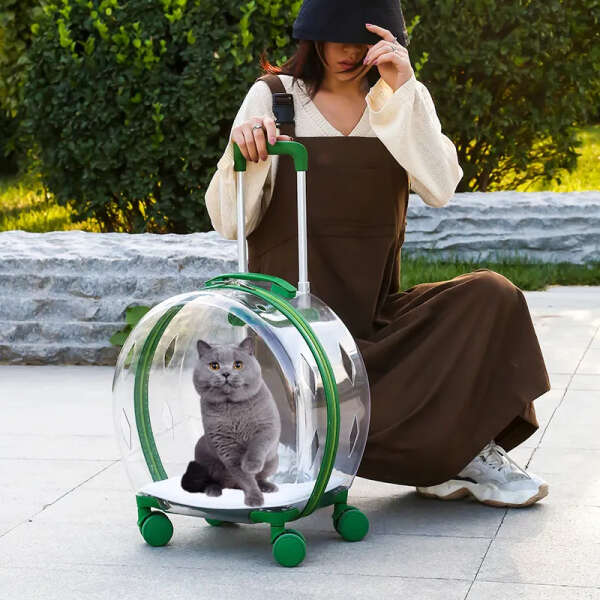 Прозрачная переноска для кота на колёсиках