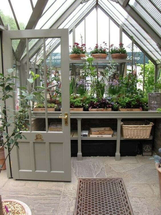 Have my own greenhouse