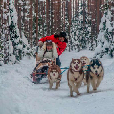 покатушки на хаски