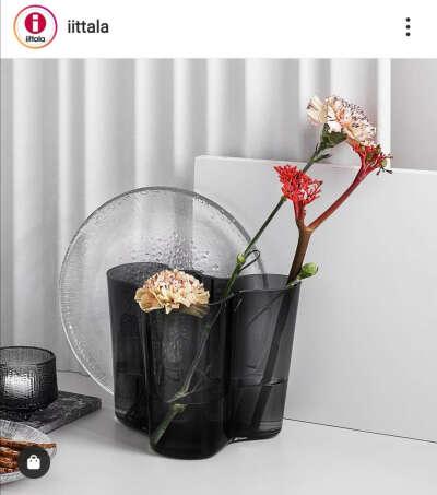 iittala Alvar Aalto collection vase