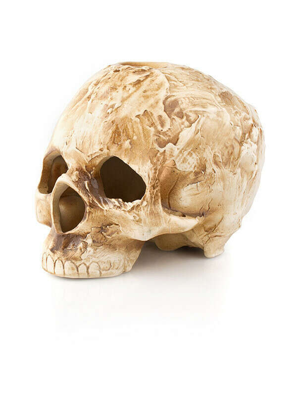 Аромалампа череп керамический (натуральной величины)
