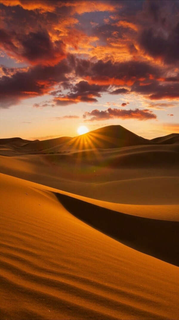 Побывать в пустыне