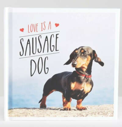 Книга "Love is a Sausage Dog"