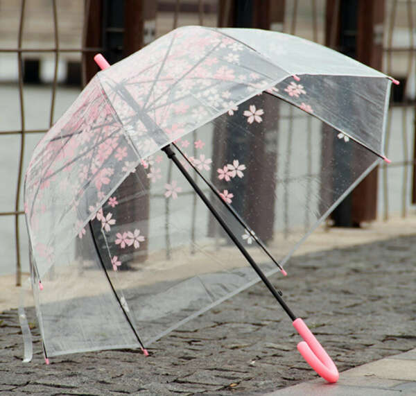 Зонт прозрачный с розовой сакурой