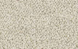 Whole-Room Carpeting Styles