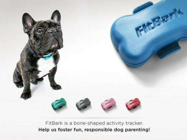 FitBark: World&#039;s tiniest wireless activity tracker for dogs