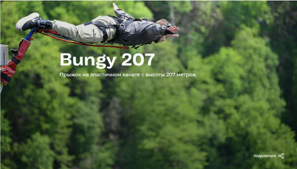 Bungy 207