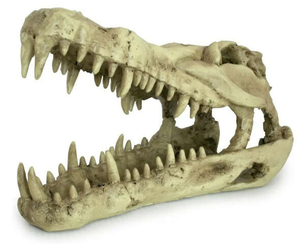 Декорация для террариума, череп LUCKY REPTILE "Skull Krokodil", 25x11.2x15.2см (Германия)