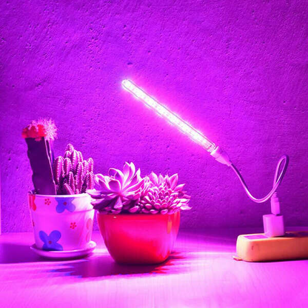 Уф лампа для растений