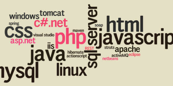 Выучить Java, PHP.