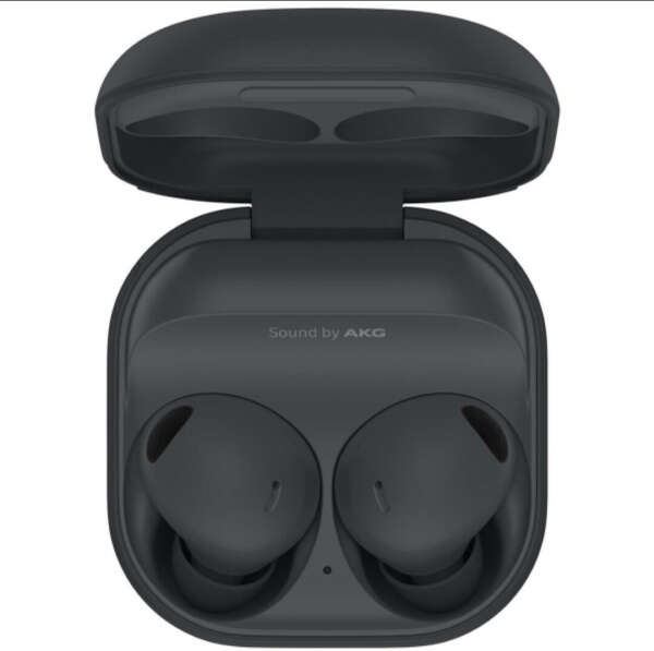 Наушники True Wireless Samsung Galaxy Buds 2 Pro Graphite (SM-R510)