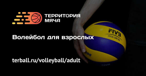 Волейбол для взрослых в Москве | Территория мяча