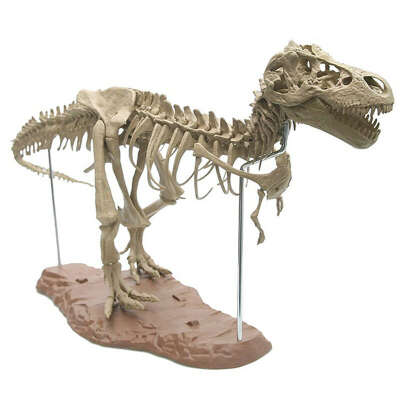Сборный скелет хищного динозавра