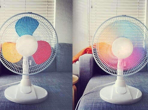 Fan