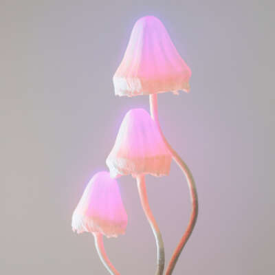 Цветочный гриб - лампа