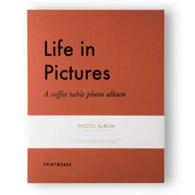 Life in pictures or good times photo album